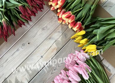 Открыт прием предзаказов на тюльпаны к 8 марта 2026г!